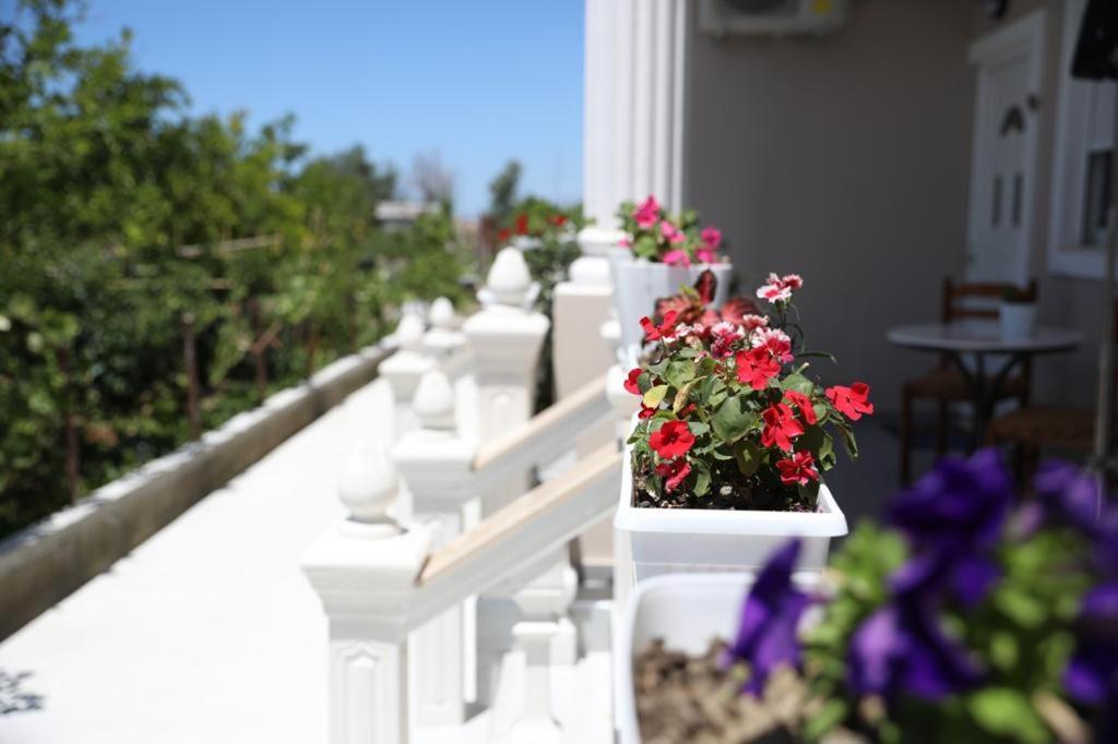 Guest House Narta Vlora Kültér fotó